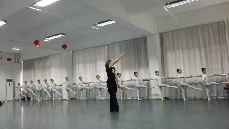 2017年首届柏深舞蹈文化交流周